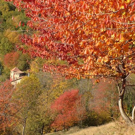Casa Etxalde Guest House Кампродон Екстериор снимка