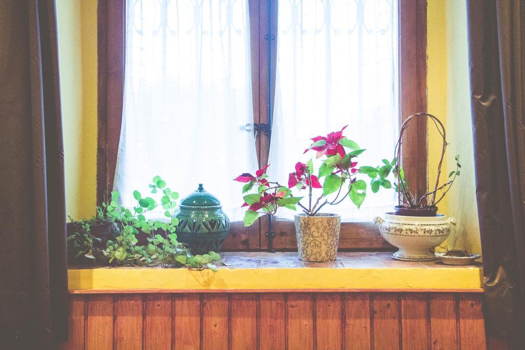 Casa Etxalde Guest House Кампродон Екстериор снимка